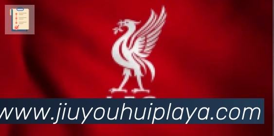 九游会合作伙伴