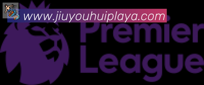 九游会合作伙伴