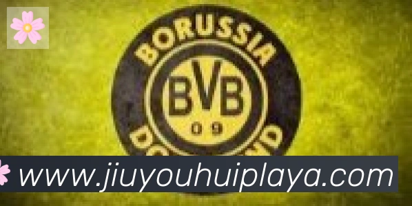 九游会合作伙伴