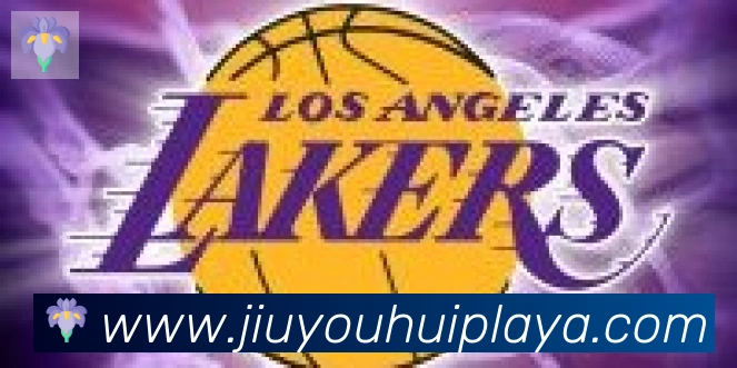 九游会合作伙伴